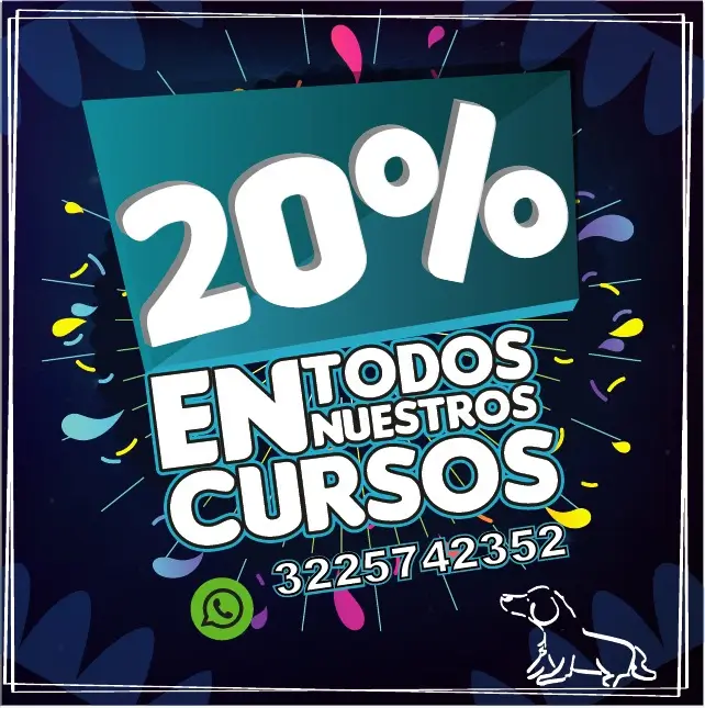 Inicio 8 20 OFF curso preuniversitario UdeA